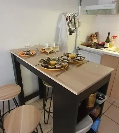 Cap D'Agde Centre Port Studio Pour 4 Avec Grande Terrasse Agde